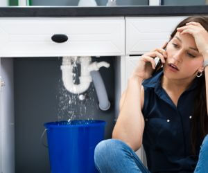 About Emergency plumbing pros Shellman, GA